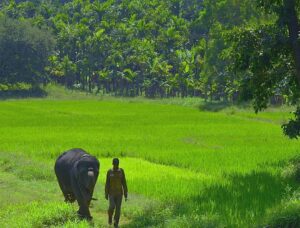 karnataka_focus-30112021-0001