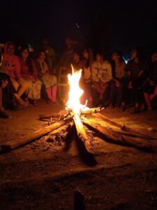 wildernest (5)